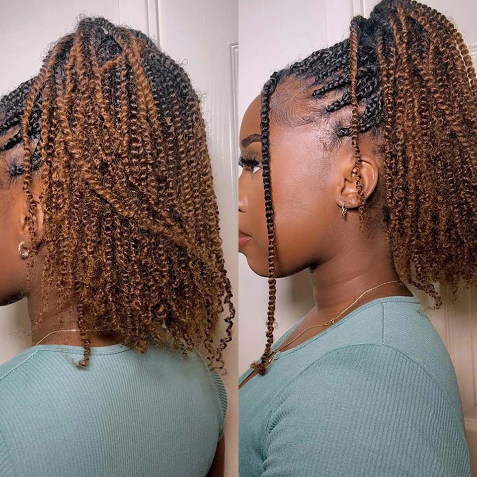 Cheveux brésiliens afro crépus et bouclés pour tressage au crochet torsadé, 100% cheveux humains Remy, brun ombré, élégant, en vrac, V