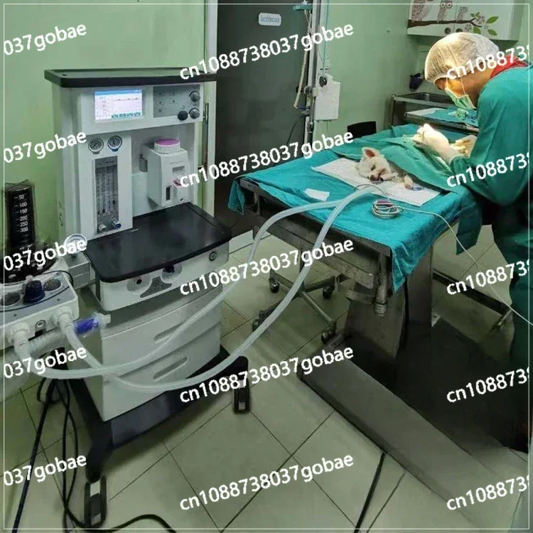 Veterinary Anesthesia Oxygen Flow Rate Pet Inhalation Anesthesia Machine