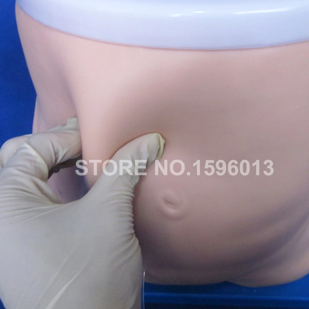 Peritoneal Dialysis Training Simulator Nursing Teaching Manikin Patient Phantom
