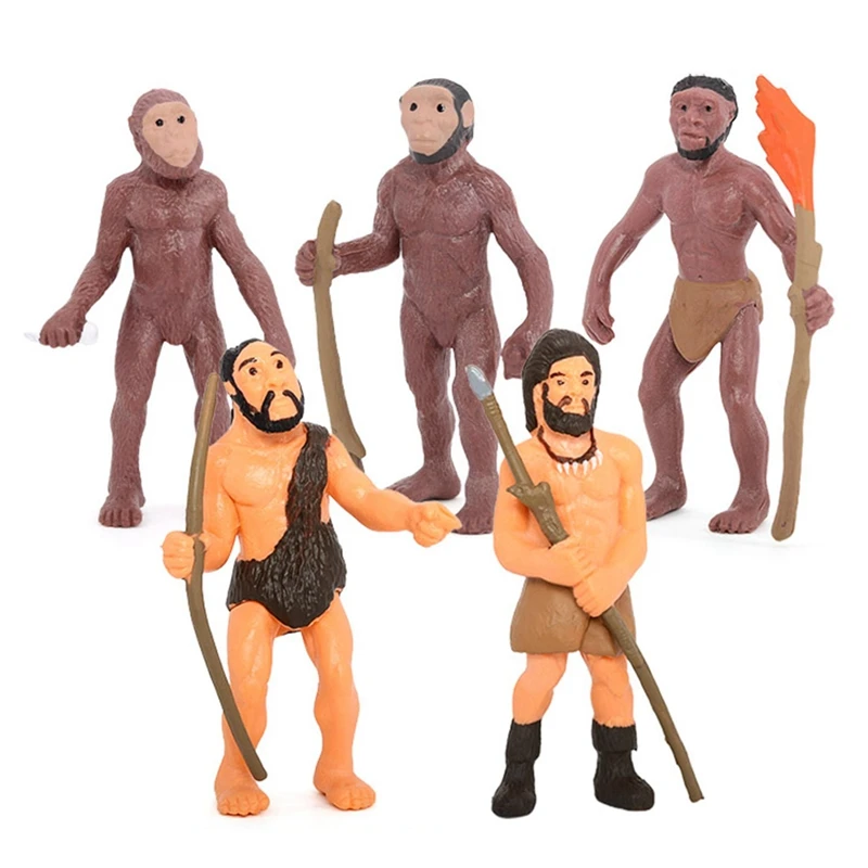 Modelos de evolución humana de simulación, figurita primitiva, ciclo de crecimiento, figuras de acción humanas, juguetes educativos para niños