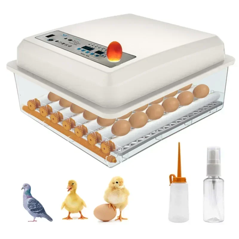 220V Eggs Incubator Brooder Bird Quail Chick Hatchery Chicken Incubator Poultry Hatcher Turner Automatic Farm Incubation Tools