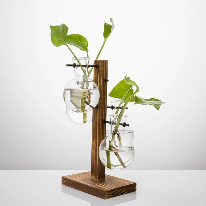 Hydroponic Plant Glass Vase, Modern Desktop Plant Terrarium Planter Bulb Water Planting Propagation Planters Hydroponics Plants