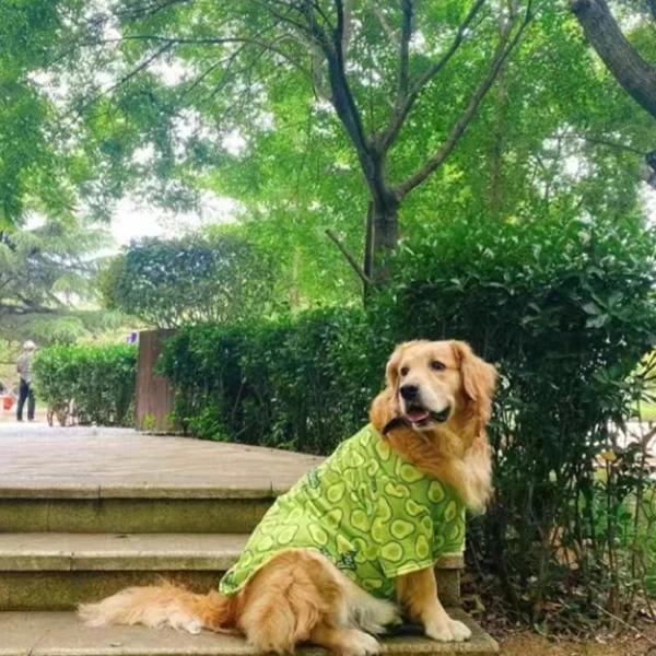 Golden Retriever Clothes Mesh Non Sticky Clothes Dog Clothes Large Dog Summer Thin Clothes Tide Labrador