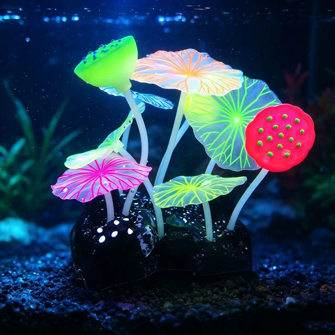 수중 발광 실리콘 3개 연꽃 씨 껍질 6개 투명 연꽃잎 - Aquarium Plant Seeds 리뷰 및 가격