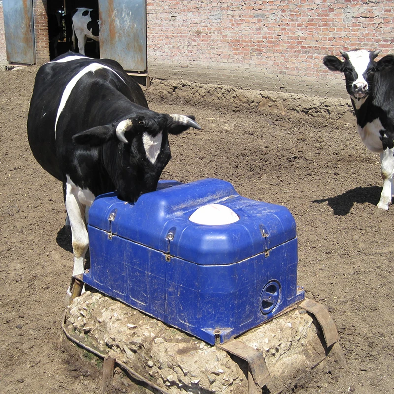 

Farming Equipment Horse Cattle Water Drinkers Cow Water Drinke for Cow