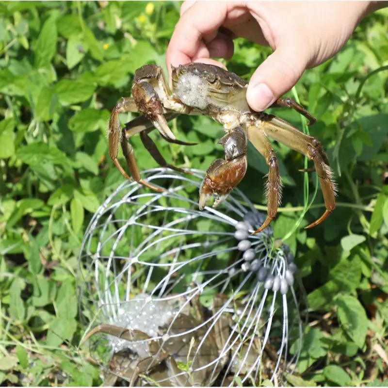 Thumbnail 4 - #56 Fishing Traps Comparison Guide