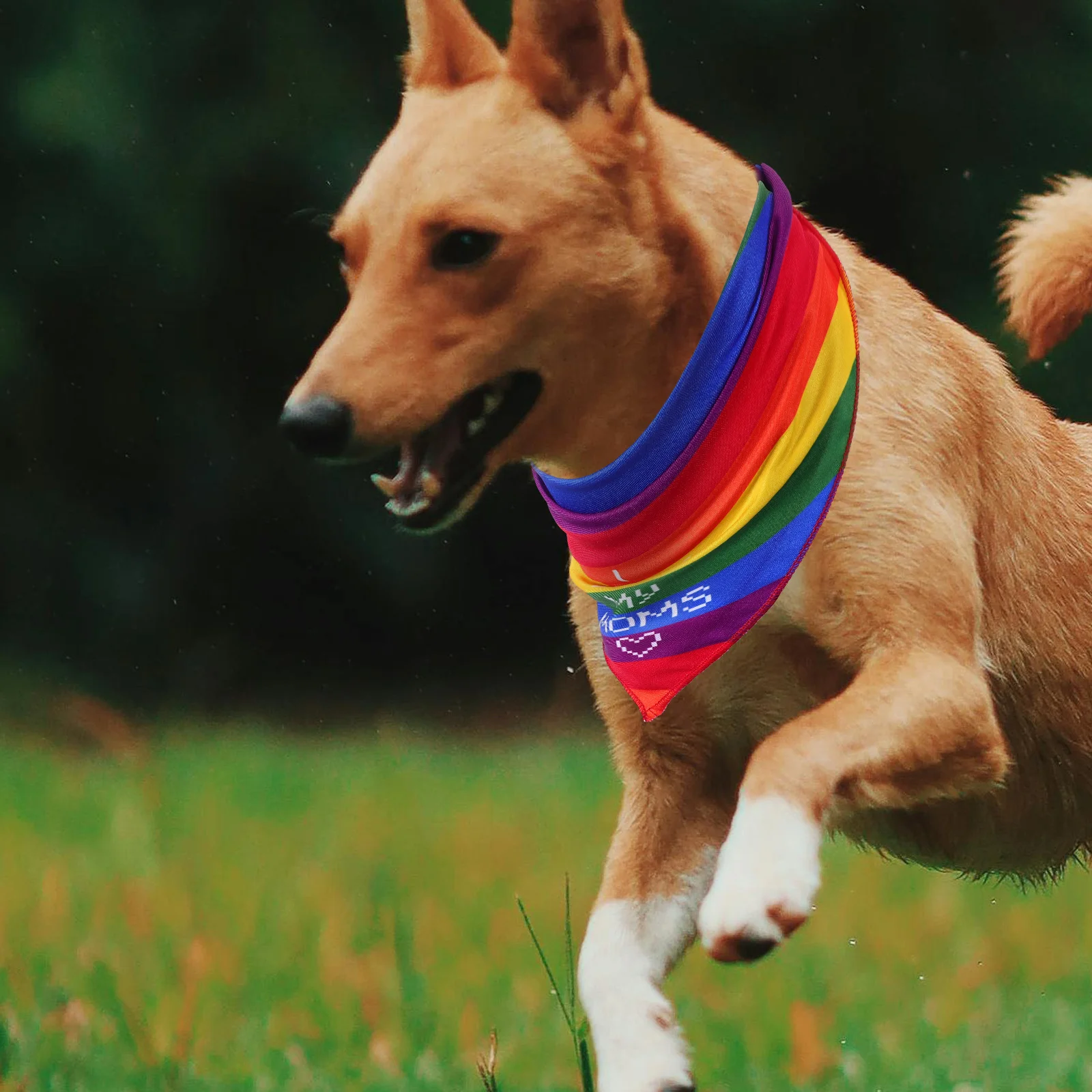 

Pet Bandana For Dogs Soft Knitted Rainbow Scarf Small Medium Large Puppy Birthday Wedding Halloween Party Collar Bib
