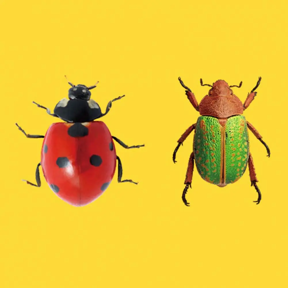 Removable Sticker Sticker Set 50-piece Set of Realistic Stickers Waterproof Pvc Decals for Diy Luggage Skateboards Scrapbooks