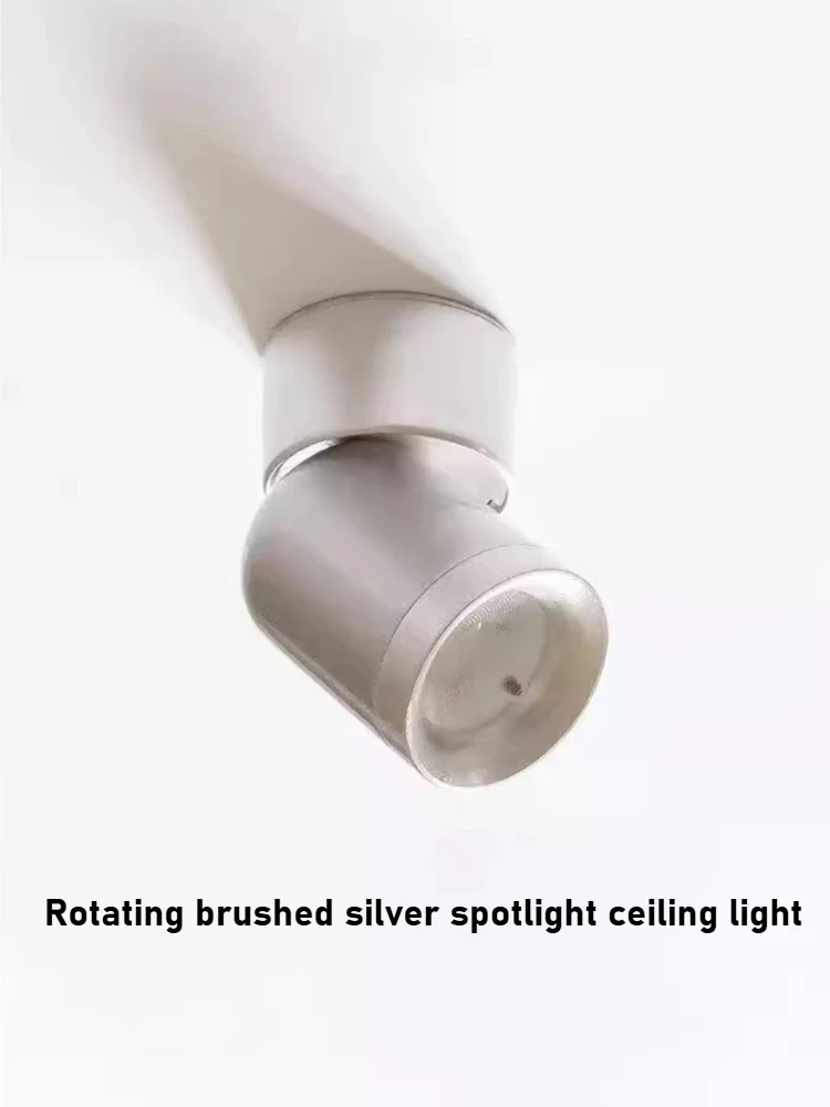 

Vintage Ceiling Light Bauhaus LED Downlight Adjustable Angle lights Gold Silver Villa Living Room Bedroom Corridor Ceiling Lamp