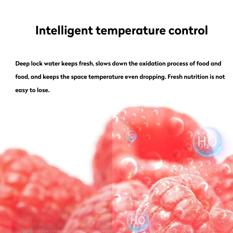 Small Double-door Refrigerator Energy Saving Household Dormitory Refrigerated Mini Wholesale Refrigerator