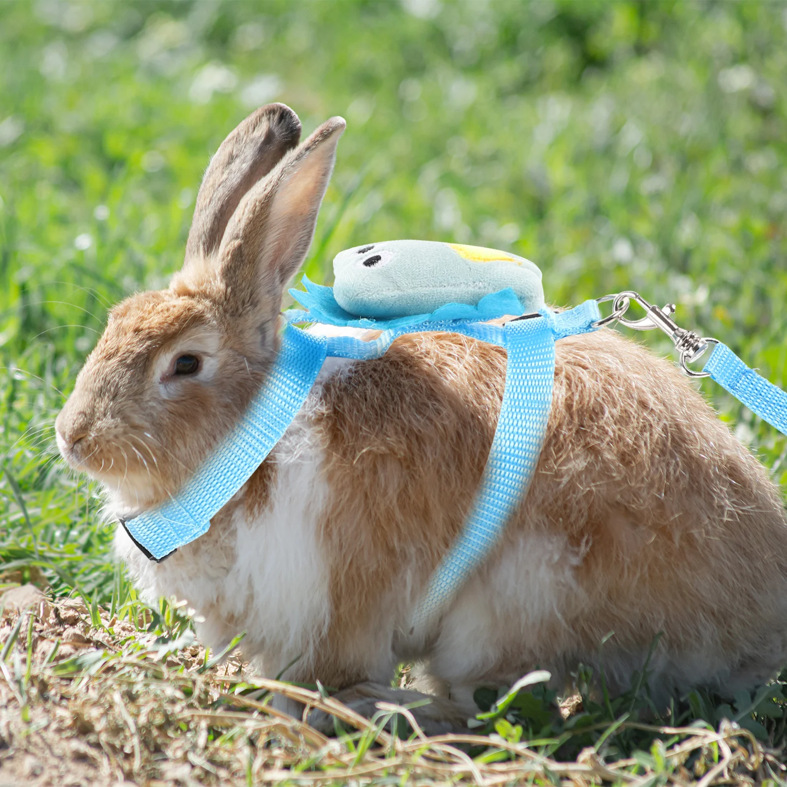 

Rabbit Small Cat Pet Harness Puppy Vest Polyester Blue Adjustable Travel Bunny Harness Rabbit Leash Small Dog Leash Pet Supply