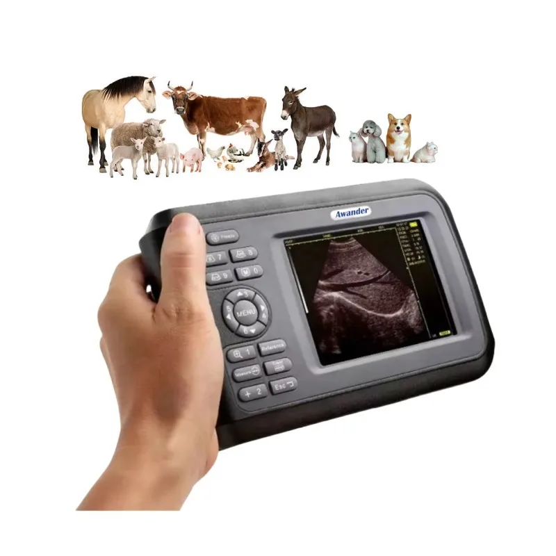 

Veterinary Portable Ultrasound Scanner for Large Animals Ultrasound Machine Cattle Pregnancy Scanner Vet Ultrasound