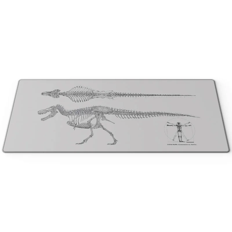 Dinosaur Mouse Pad Custom Extra Large Minimalist Hand-drawn Trendy Desktop Pad Smooth FPS Professional Esports Gaming Mousepad