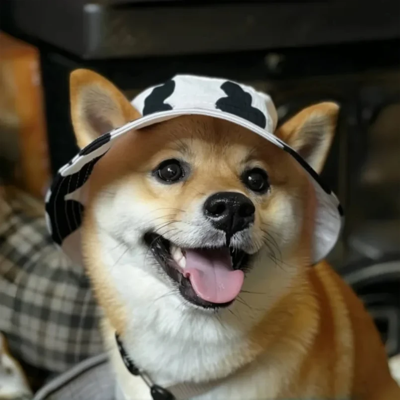 

Fashion Dog Hat Adjustable Pet Bucket Hats with Ear Holes Summer Outdoor Round Brim Sun Hat for Samll Dogs Cats Pet Supplies