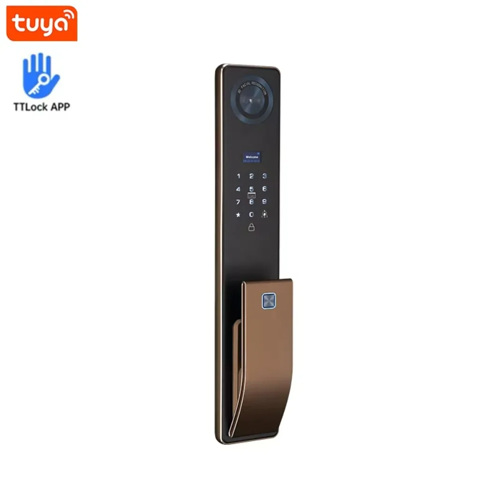 

WiFi Smart Electronic Wood Steel Door Lock with Camera Face Recognition Features Aluminum Alloy Digital Door for Brass Door
