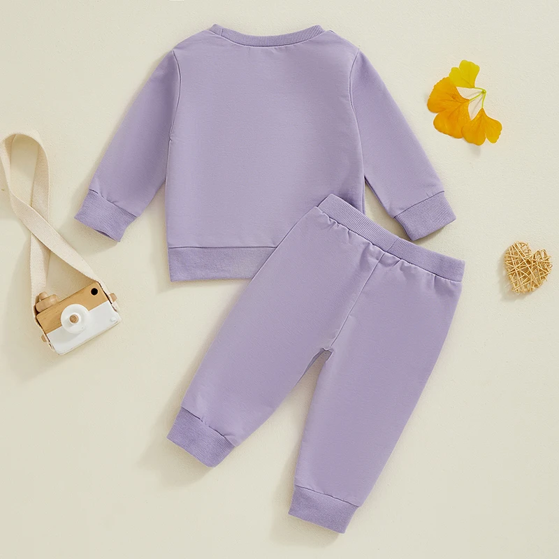 Toddler Girls 2-piece Set Adorable Long Sleeve Crew Neck Embroidered Sweatshirt with Elastic Waist Sweatpants for Autumn