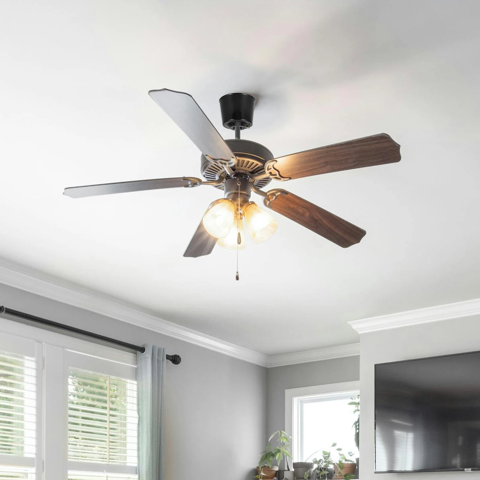 2 Pcs Ceiling Fan Accessories Light Canopy Fixture Dust Cover Fans Bulb Cage Guard Shade Sun Replacement