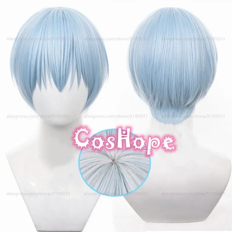 Sky Cosplay Wig 30cm Short Blue Wig Cosplay Anime Cosplay Wigs Heat Resistant Synthetic Wigs Halloween