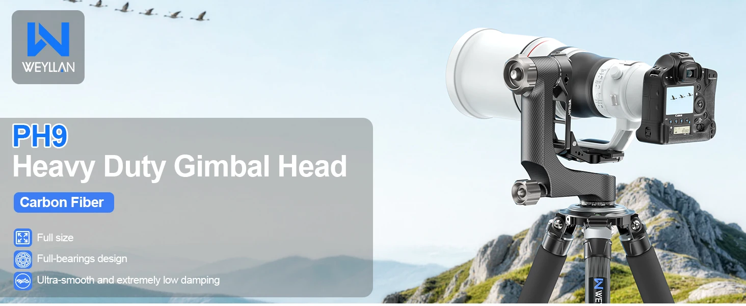 WEYLLAN Professioneller Gimbal-Stativkopf PH9 aus Kohlefaser, Hochbelastbar mit Arca Swiss Schnellwechselplatte, Maximale Belastung 20kg für Kamera und Teleskop, Neu – Detail 1