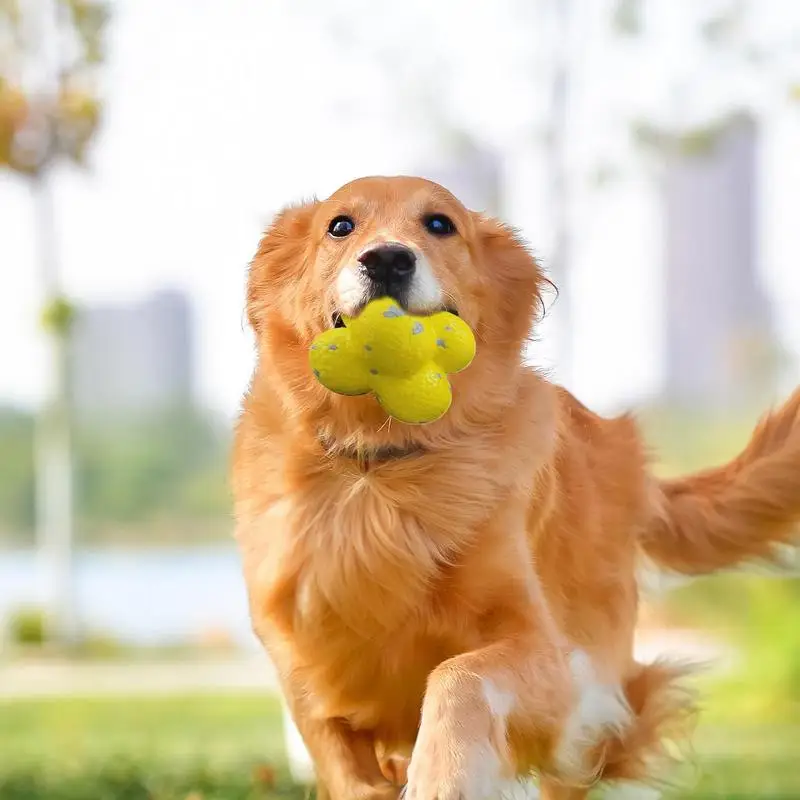 

Dog Chew Ball Pet Tooth Chewing Pop Corn Ball Toy Bouncy Dog Chewing Toy For Small Medium And Large Dog Interactive Dog Toy