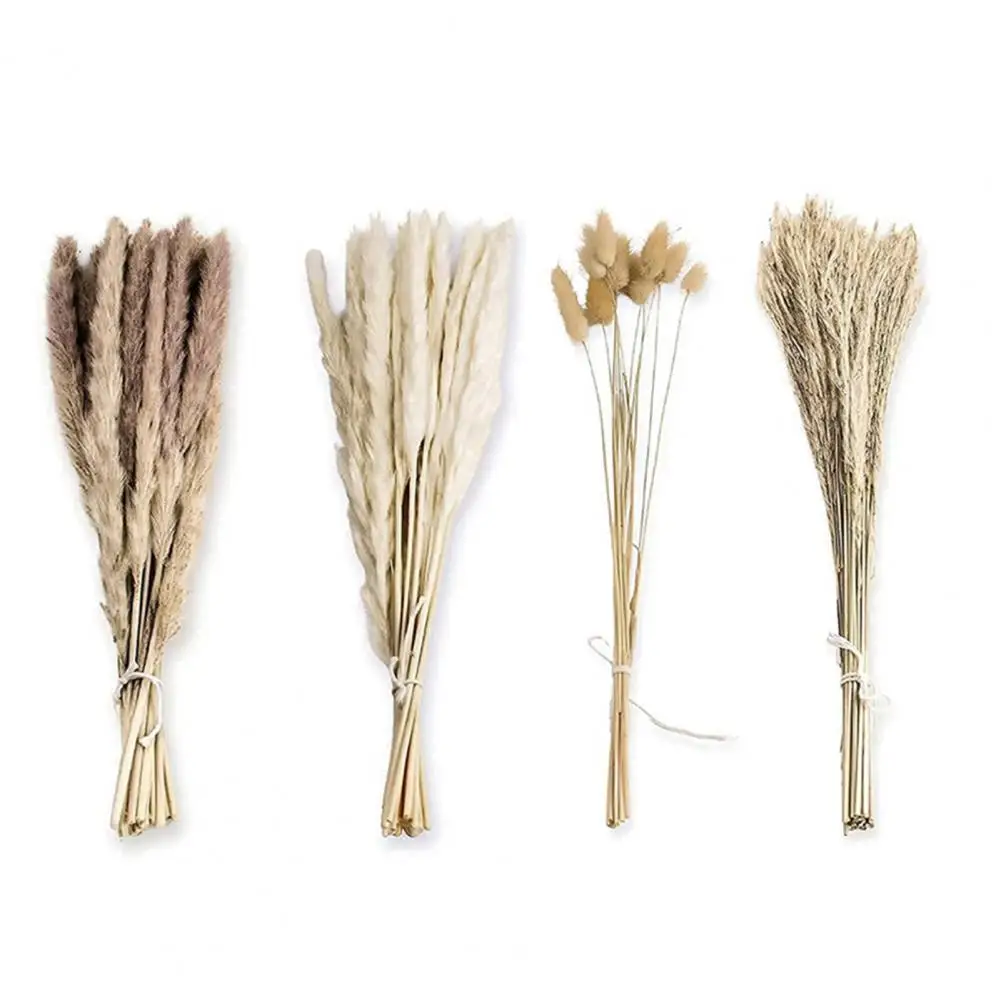 Dry Reed Grass No Watering Natural Dried Plant Bouquet DIY Wedding Boho Flower Home Decor