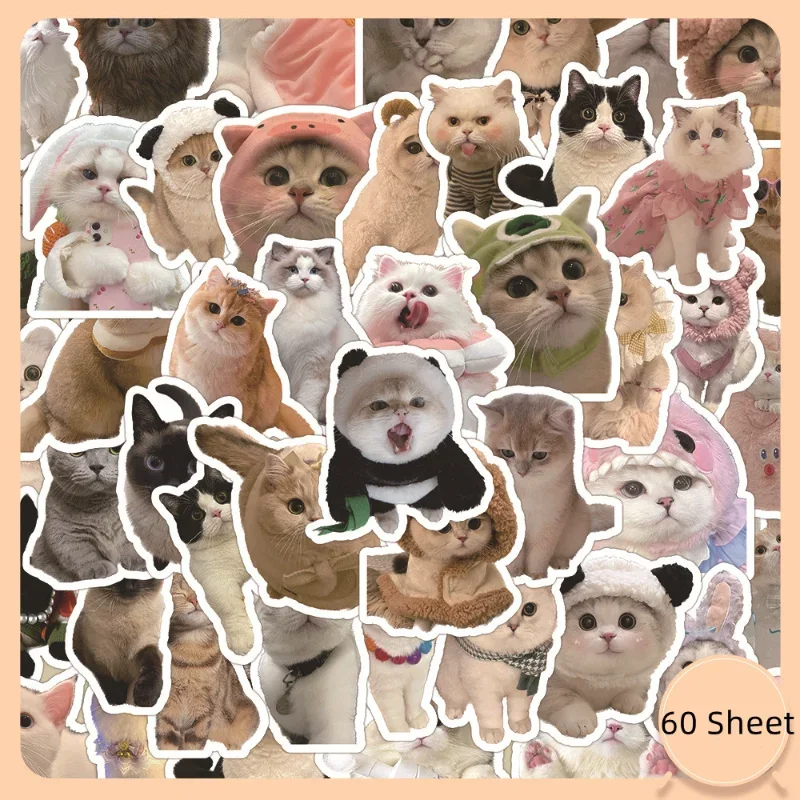 60 vel Kawaii Cat Sticker Real Shot Mooie Kitten Sticker DIY Briefpapier Decoratieve Scrapbook Telefoon Sticker Student Supplies