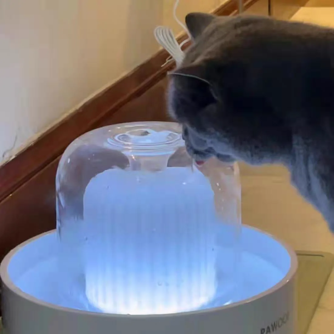 Pet Fountain With Adjustable Lights And Control Buttons Auto-off Function Pet Water Dispenser Dog Cat Pet Dispenser