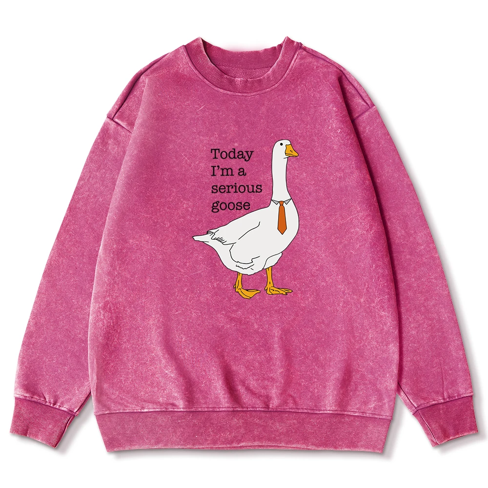 Today I'M A Serious Goose Cartoons Print Women Sportswear Fashion Loose Washed Sweatshirt Casual Cotton Pullovers Female Top