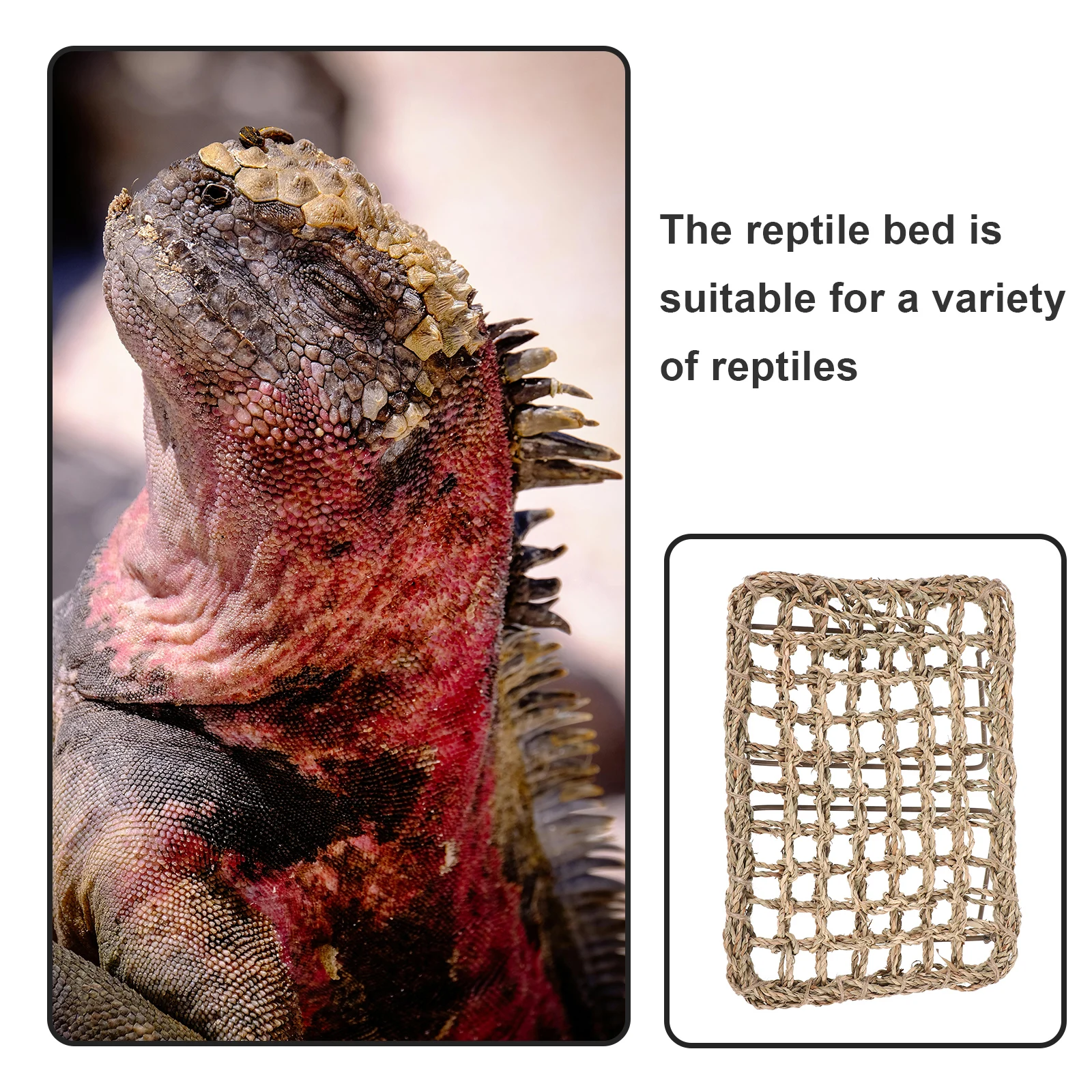 

Iron Frame Reptile Bed Lizard Bed Woven Straw Lounger For Bearded Dragon And Lizards Reptile Animal Supplies