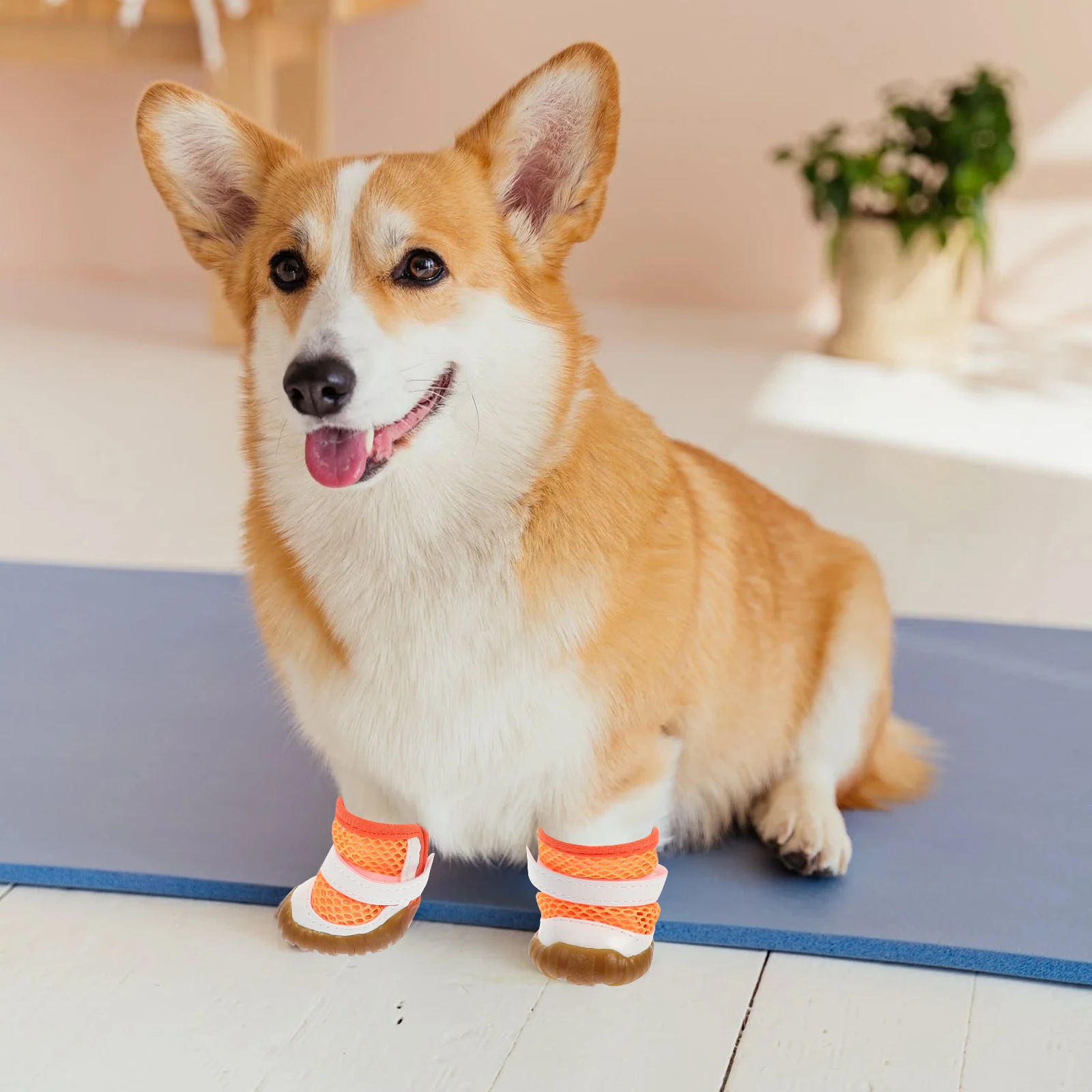 

4 Pcs Dog Shoes Summer Pet Wear-resistant Breathable Puppy Boots Accessories Orange Hiking Anti-scratch Sole Protection Pet