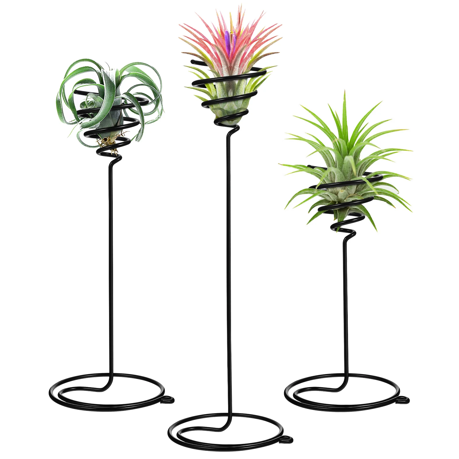 3Pcs Flower Stand Tillandsia Displaying Holder Spiral Houseplants Live Indoor Air Container Metal Outdoor Tillandsia Holder