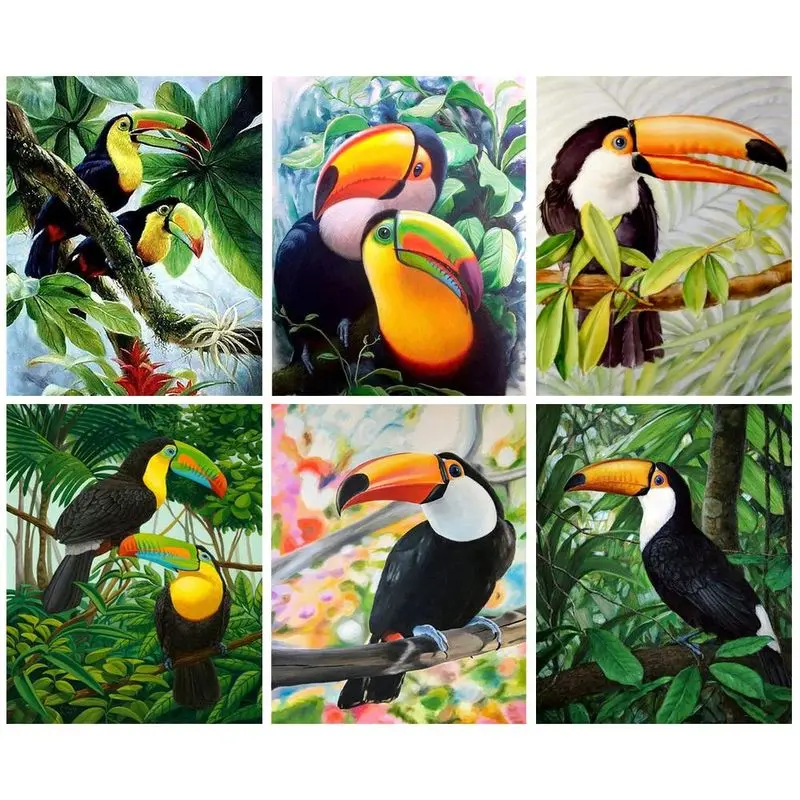 

GATYZTORY Painting By Number Bird Animal Kits For Adults Handpainted Diy Frame Picture By Number Toucan Home Decoration Gift