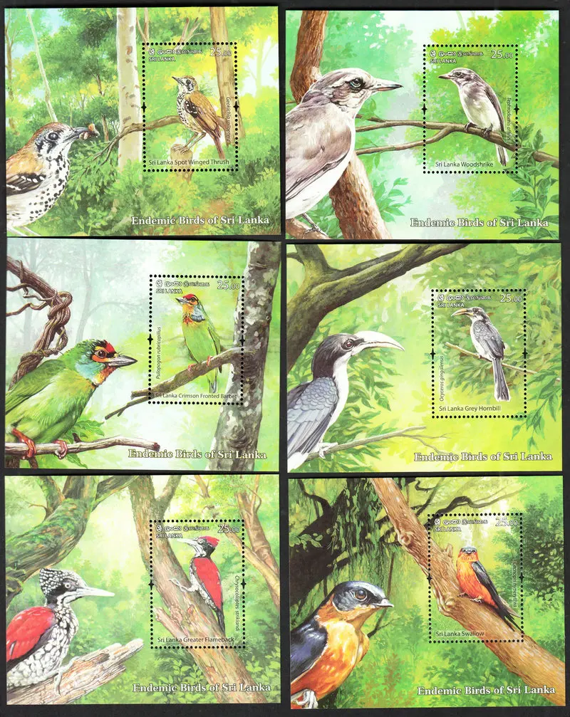 Sri Lanka Post Stamps Year 2021 Bird Swallow Woodpecker Grey Hornbill 6 New Collectible Postage Stamps Material For Scrapbooking