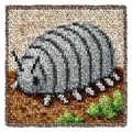W-nszd0022-30-30