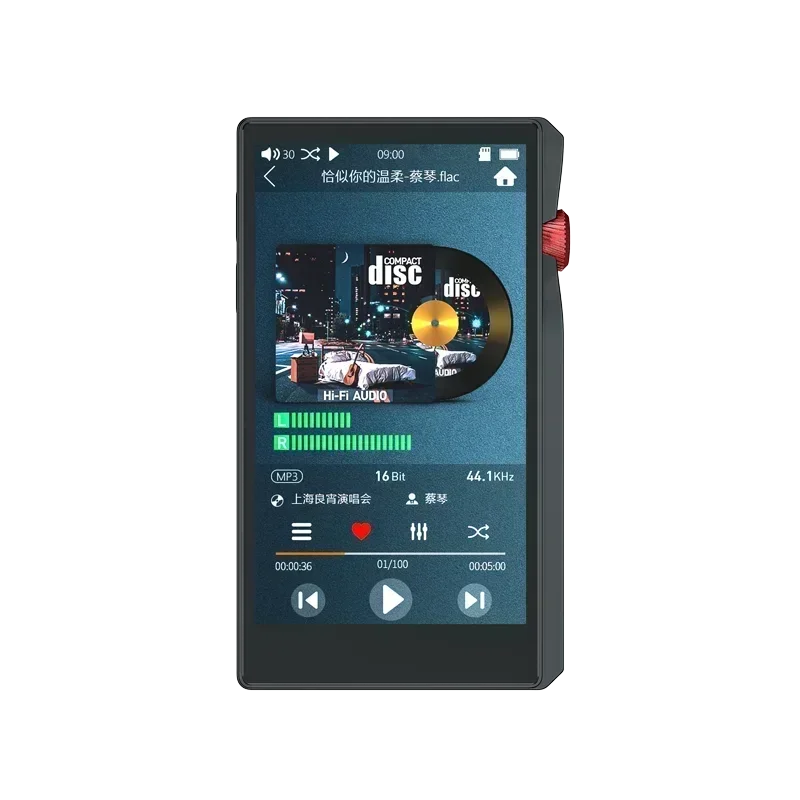 Lossless High Resolution Digital Audio Player Bluetooth OTG USB Disk DSD Music Playback Device Support 1TB Storage Portable HiFi