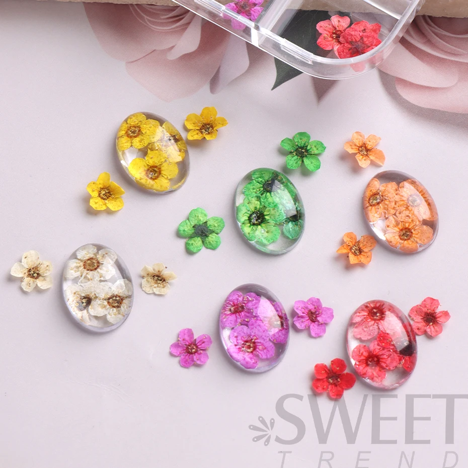 3D suche kwiaty zdobienie paznokci dekoracje rękodzieło dekoracyjne do domu naturalne suszone naklejki kwiatowe Charms DIY Manicure wzory akcesoria