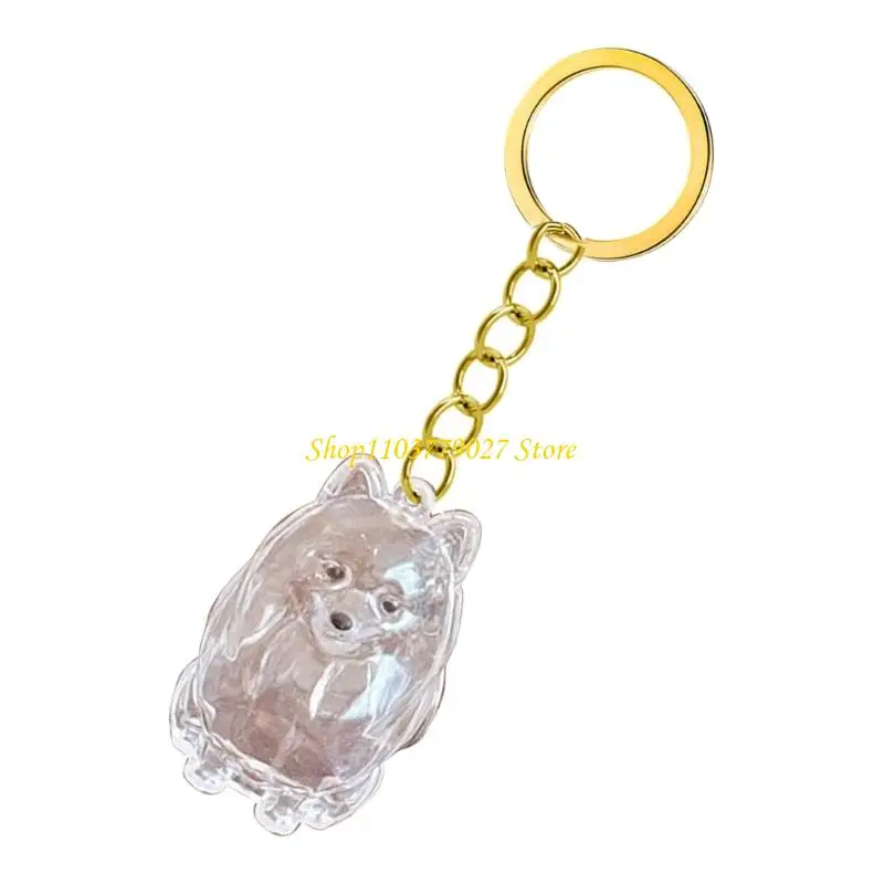 C4DF Clear Pet Memorial Keychain Pet Hair Bottle For Preserving Dog Hair Box