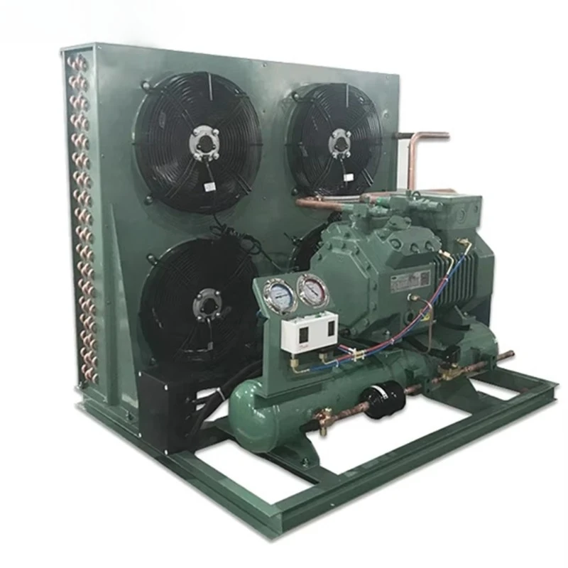 Factory Price Compressor Air Cooled Condensing Unit Cold Storage Room for Room