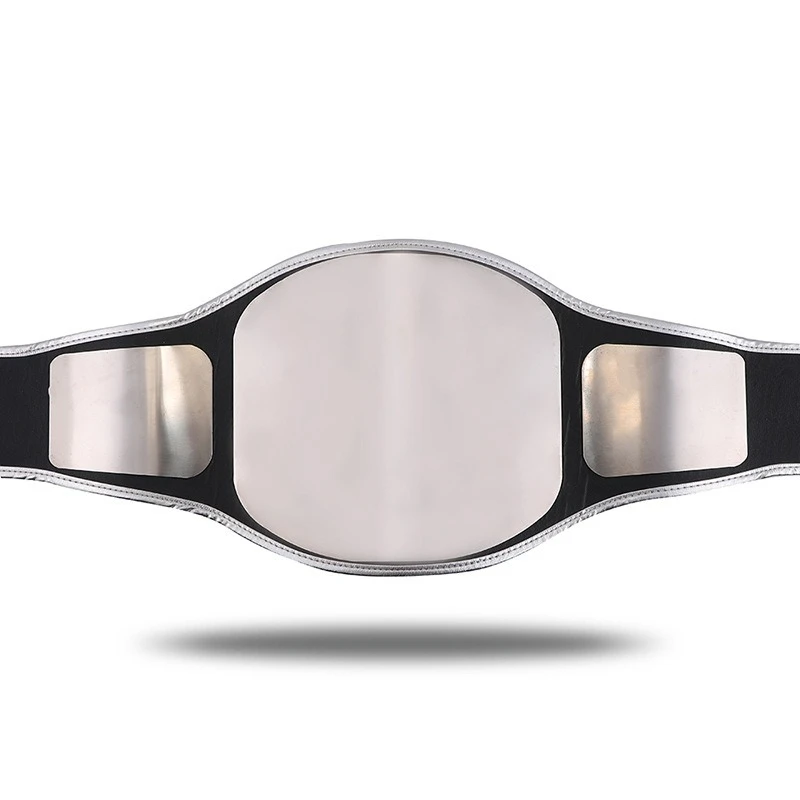 World Professional Boxing Heavyweight Championship Wrestling Champion Belt
