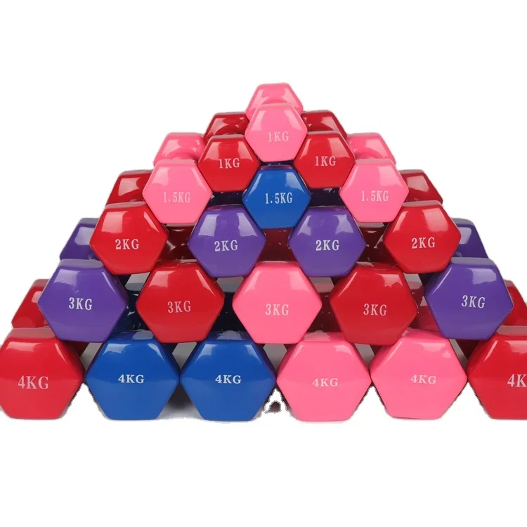 New Product Hot Sale Factory Direct Price Bodybuilding Dip Plastic Hex Dumbbell 1kg