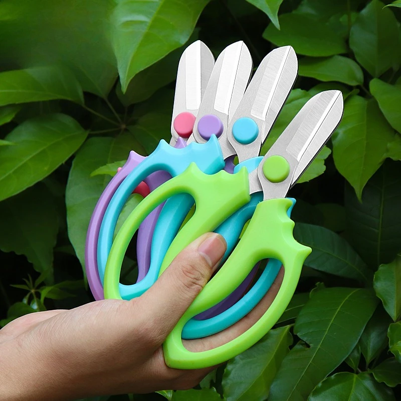 

Flower Scissors Stainless Steel Color Handle Floral Scissors Flower Shop Flower Arrangement Garden Pruning