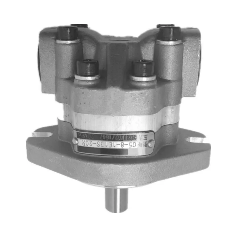 

Гидравлический Шестеренчатый насос G5, масляный насос с внутренней шестеренкой, фотографическая деталь