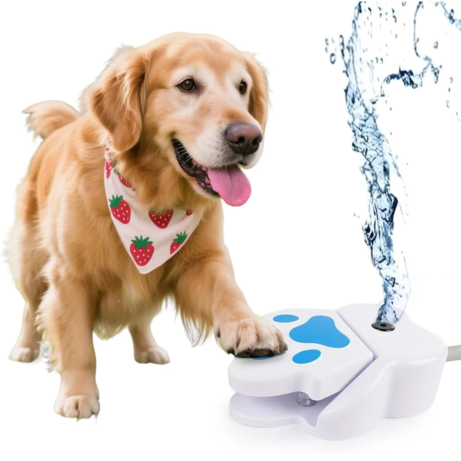 Dog Water Fountain Large - Küçük, Orta ve Büyük Boy Köpekler