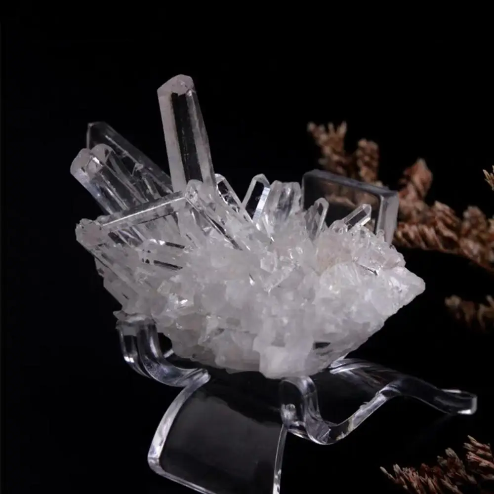 Rock Coral Specimen Acrylic Small Collectibles Easel Supporting Base Display Holder Mineral Stand