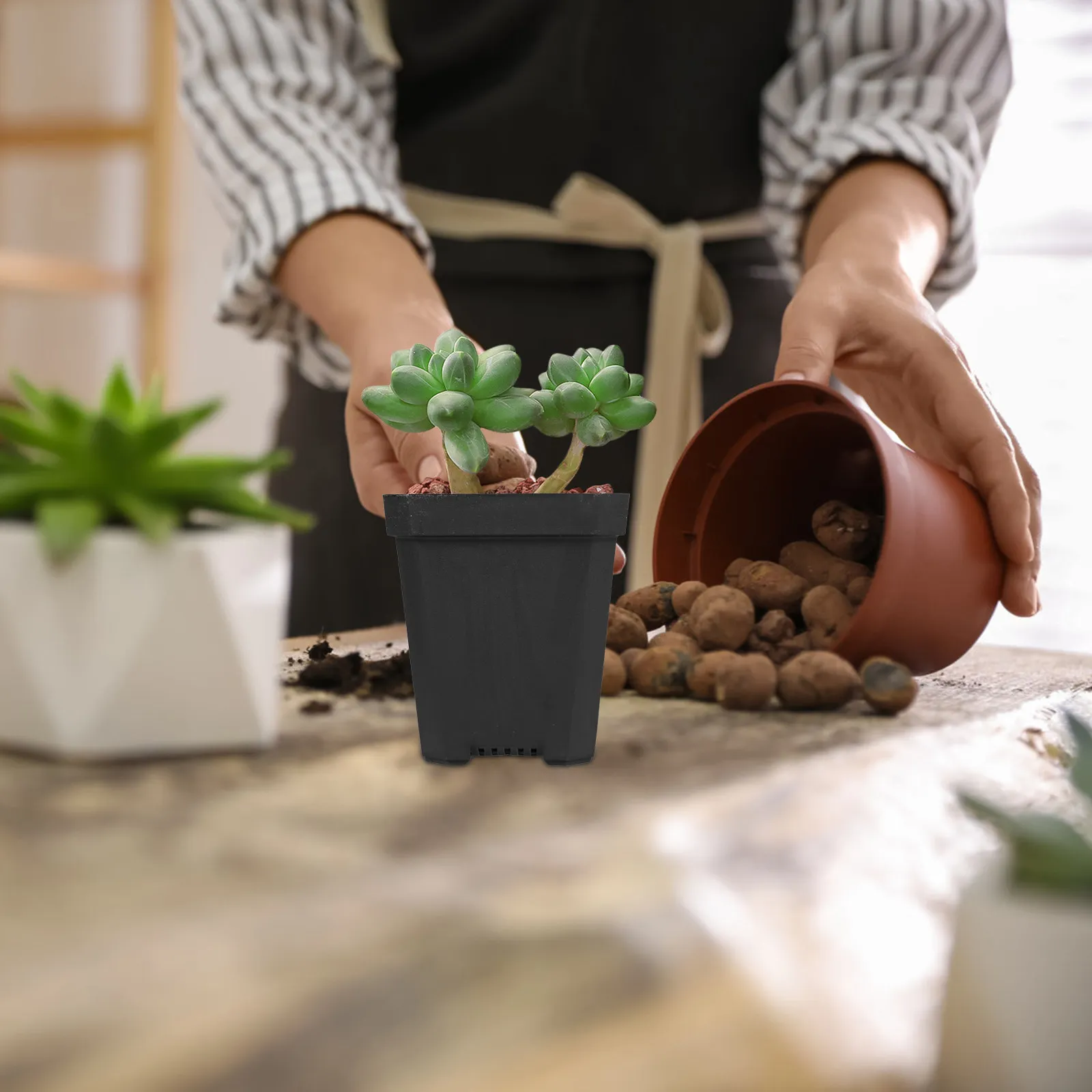 

20 шт. пластиковых горшков для суккулентов, рассады и цветов, для дома, сада и улицы, с дренажными отверстиями