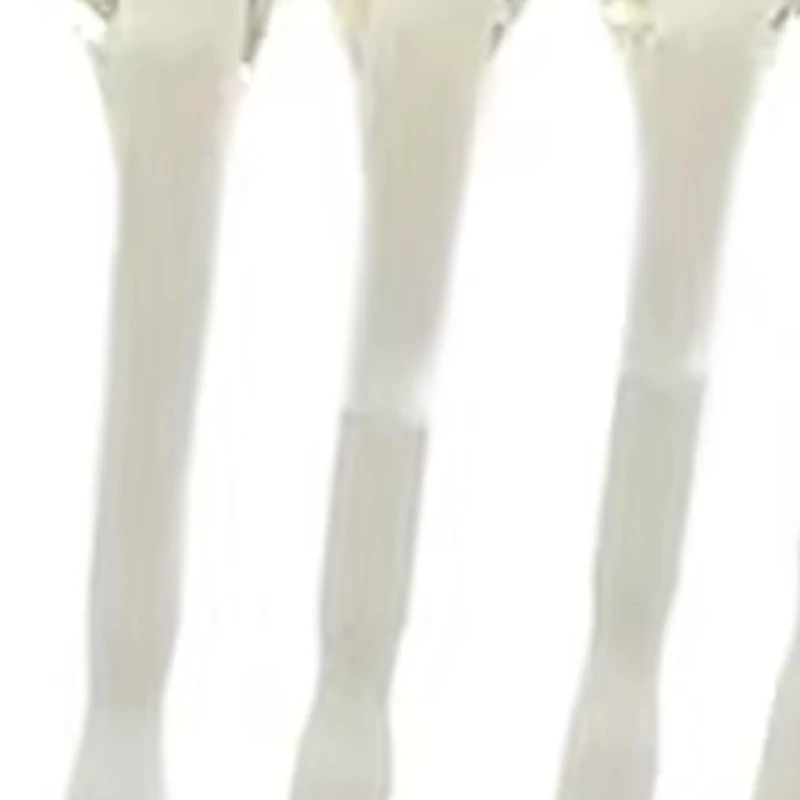 

10Pcs Dental Adhesive Brackets Rods Clear Viscousness Veneer Crown Matrice Bonding Stick