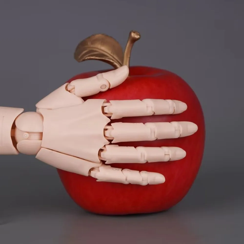 1:2 Scale Human Hand Model Mini Size Movable Joints Articulated Action Figure Twisted Egg Design With Posable Fingers Palm Model