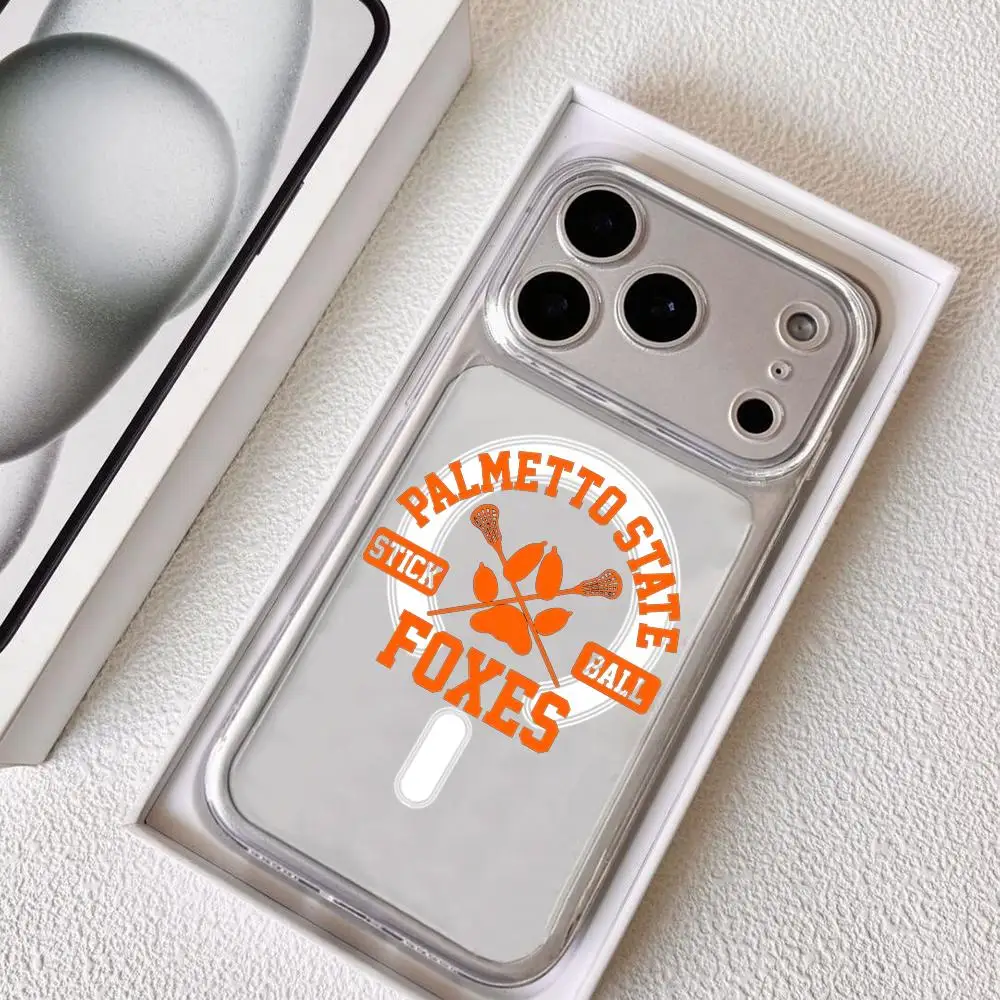 AFTG Cartoon Phone Case for iPhone 12-17 Pro Max Plus, Clear Magnetic Shockproof product photo