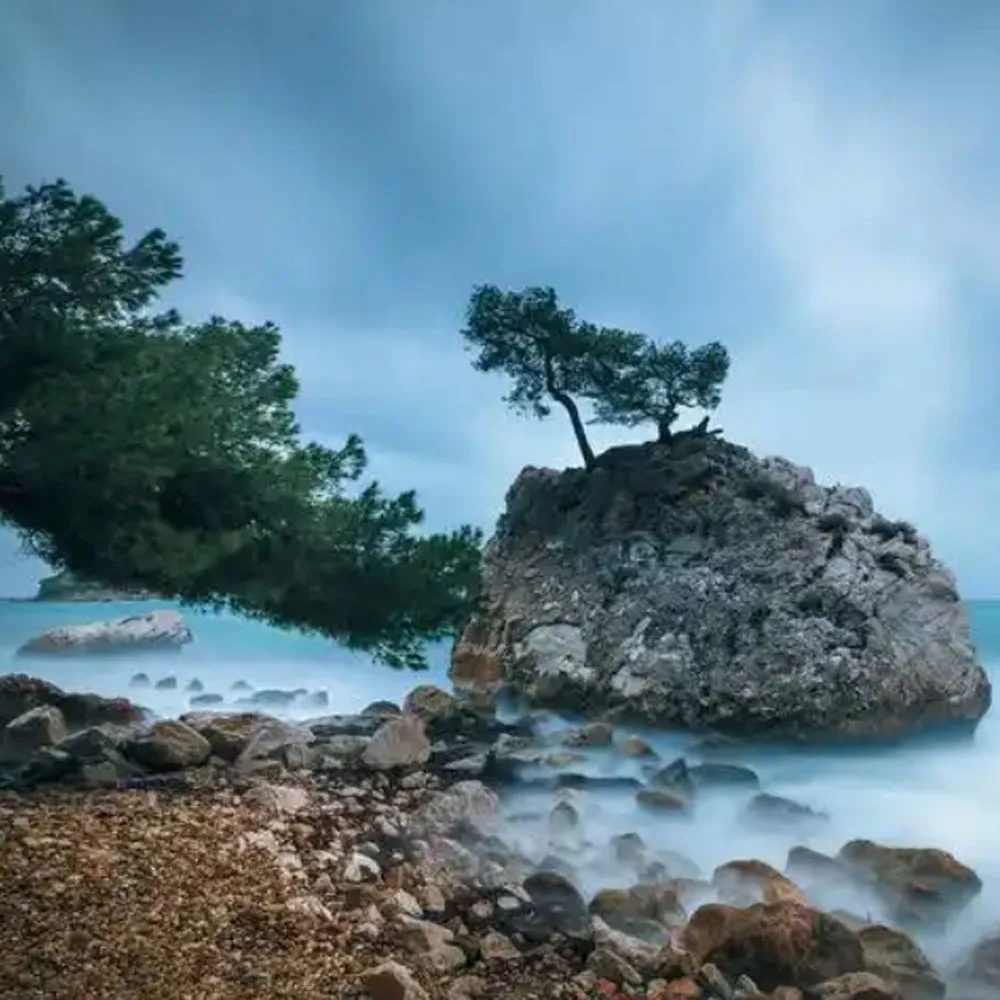 

Original And New Bulk Ink System CISS for Epson L1800 L800 L805 DTF Printer Continuous Ink Supply System