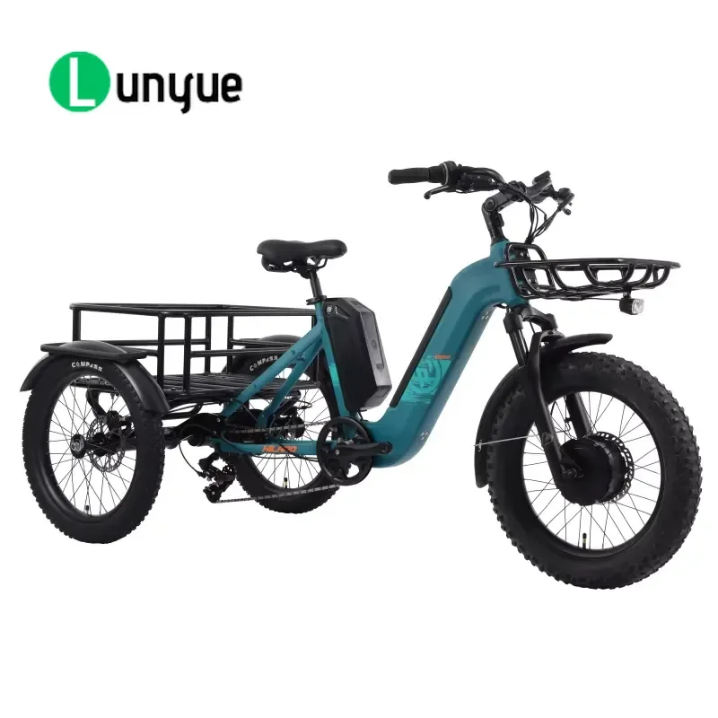20 Inch 500W Motor Dual Battery Electric Tricycle 7 Speed Hydraulic Disc Brake 3 Wheel E Trike for Adult Commuting Cargo